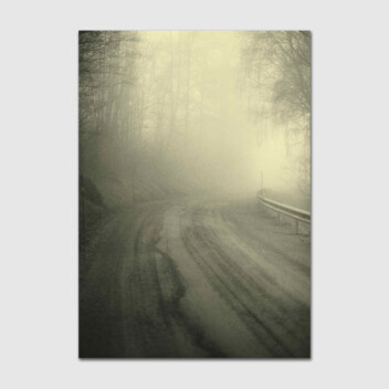 Road to The Farm